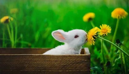 爱游戏娱乐平台-利物浦面对莱斯特城，凯塔是否会在关键时刻挺身而出？，利物浦对莱斯特城比赛时间