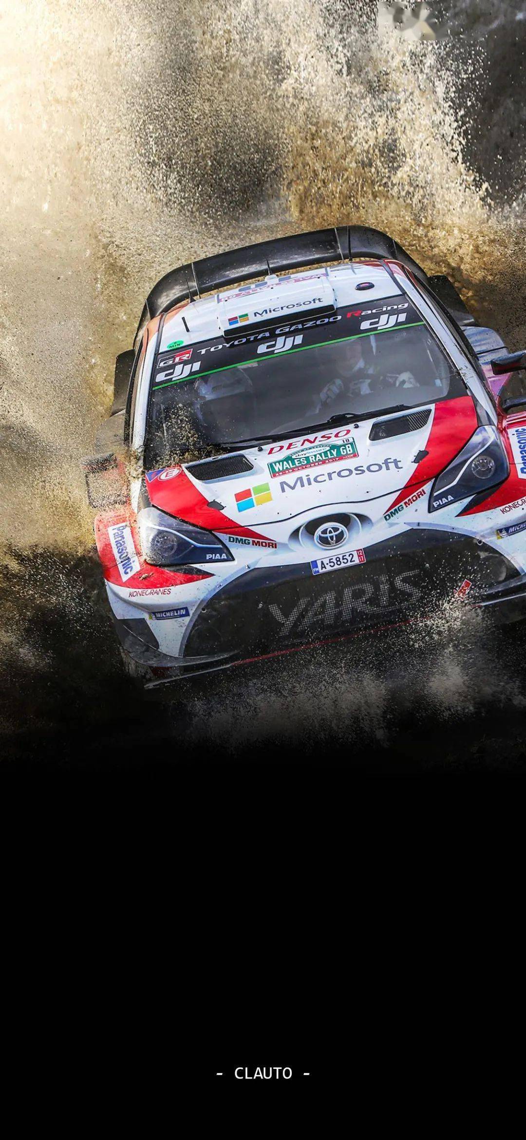 爱游戏 电竞-WRC赛段安全措施：确保每一场比赛的安全保障的简单介绍