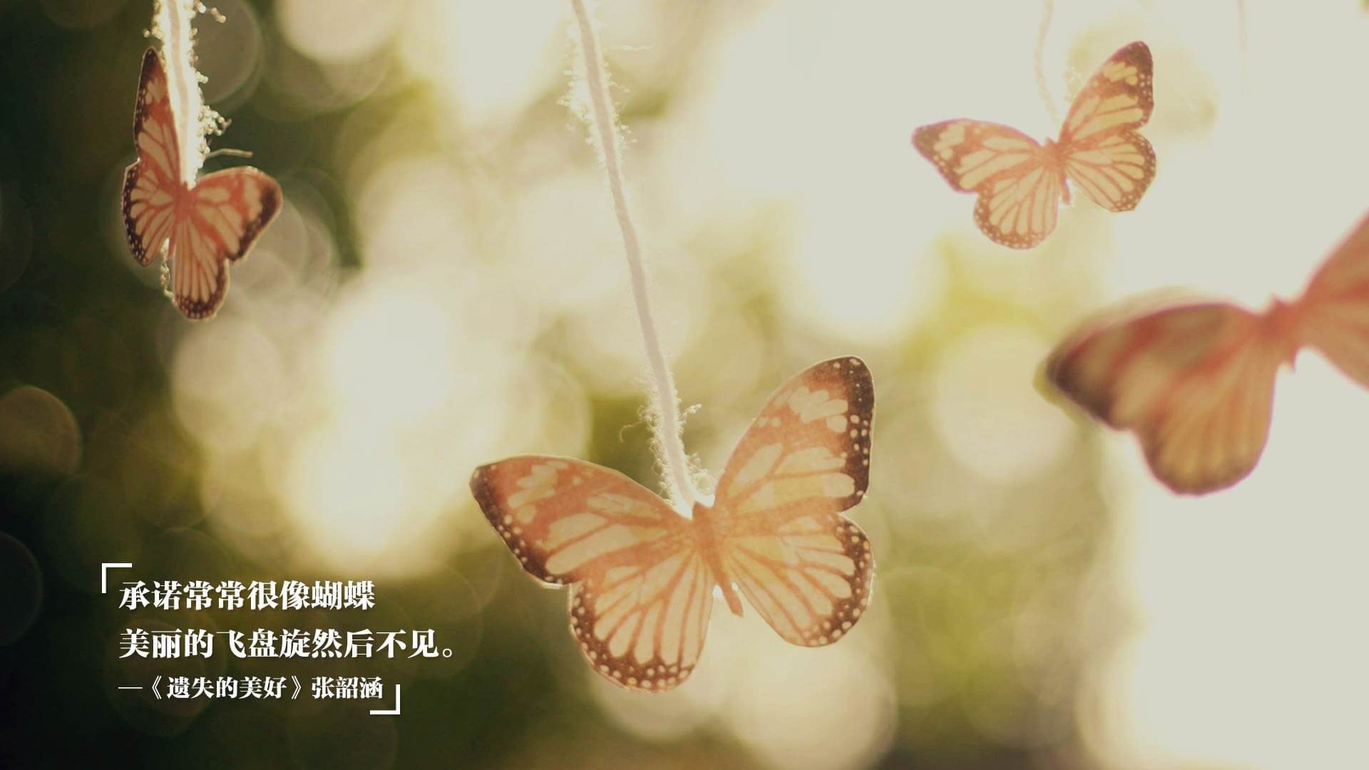 墨西哥男足在巴黎奥运会上表现出色，晋级四强，奥运会男足墨西哥队