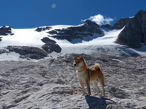 爱游戏-李钦诚在“湾区杯”围棋大棋士赛中表现抢眼，棋手李钦诚