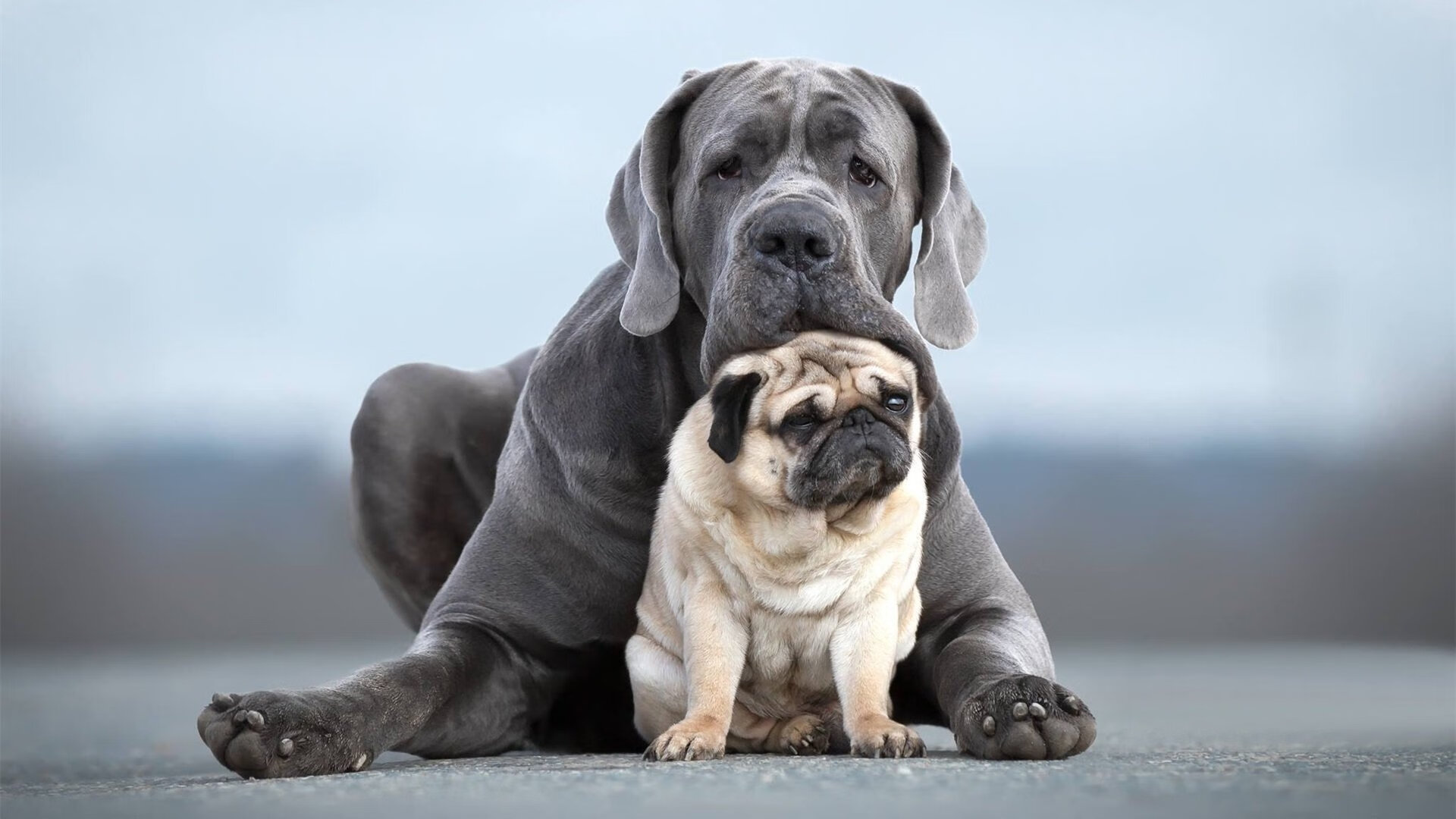 AYX GAMING-足球主题脱口秀节目上线吸引关注，足球运动员说脱口秀