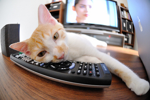 爱游戏娱乐-高压比赛：压力下运动员的精彩表现，高压向低压运动