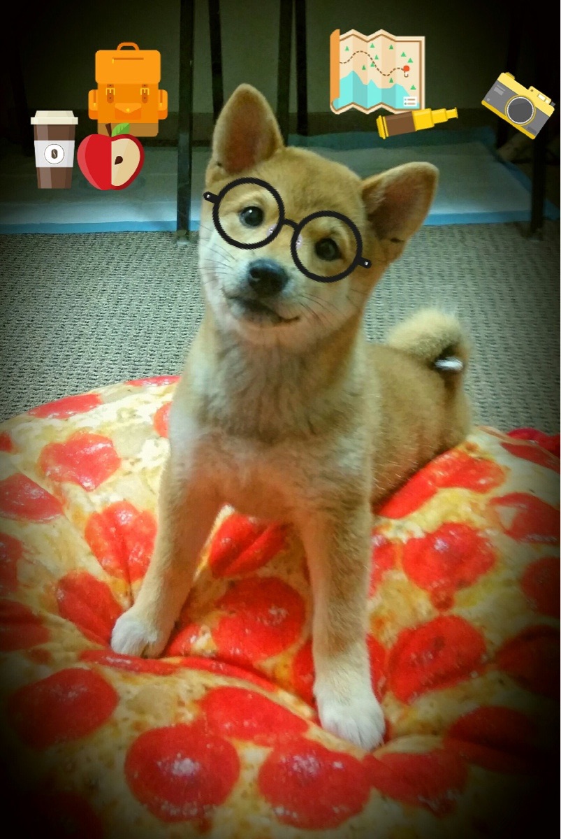 爱游戏体育平台-利雅得新月与吉达联合争冠白热化，利雅得新月特谢拉