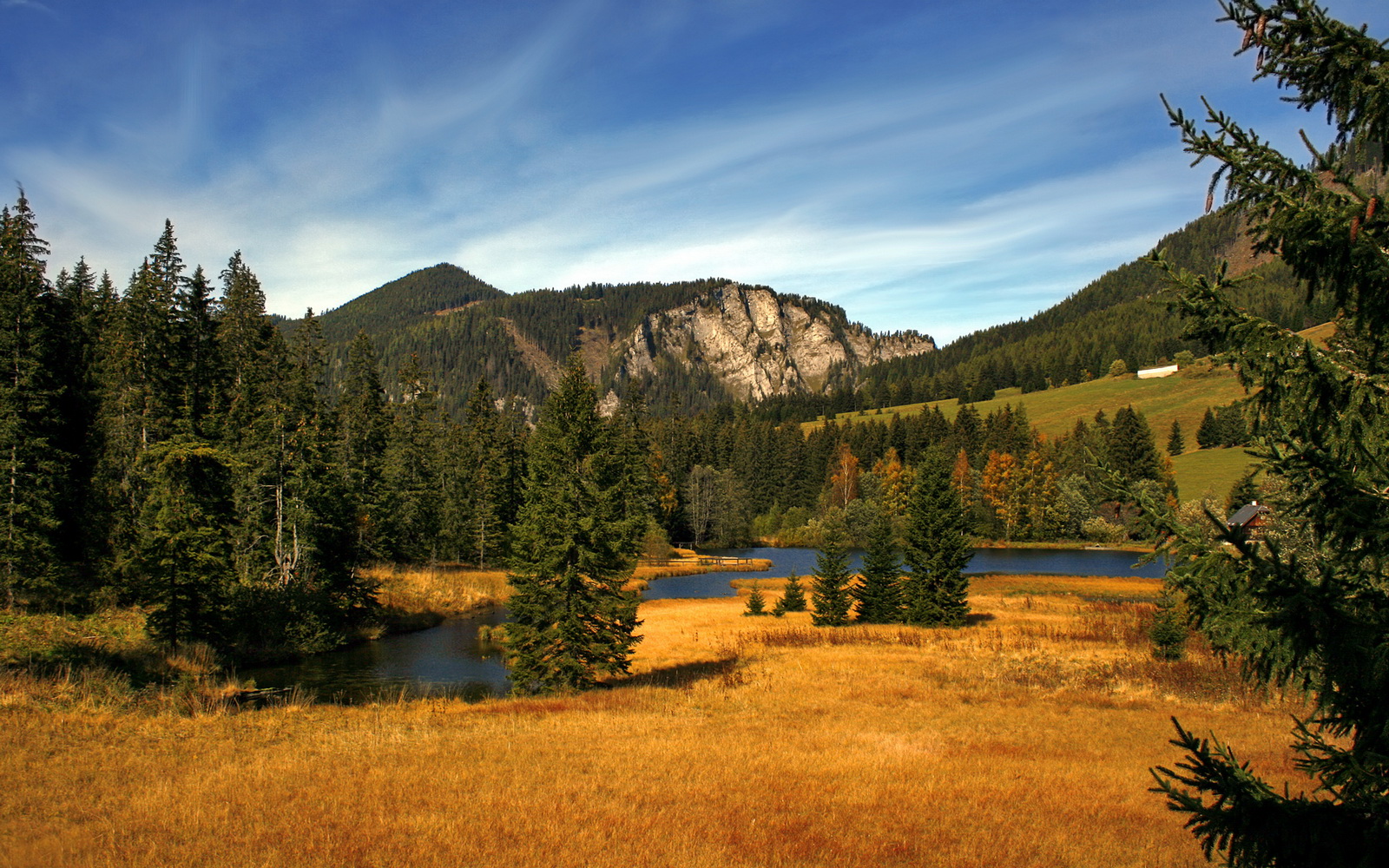 布莱克本锋线锋利,蓝白军团渴望翻盘,nba布莱克