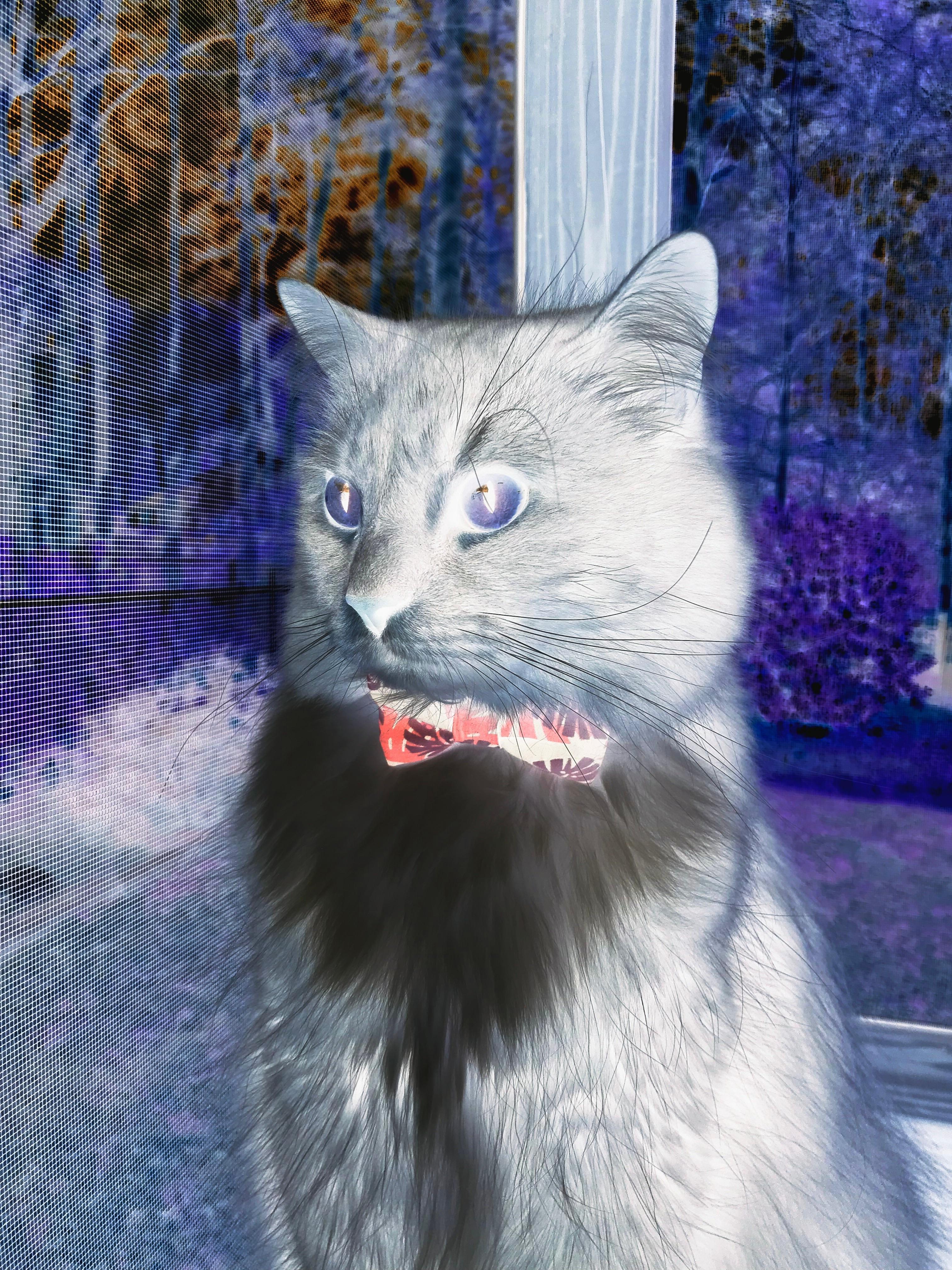 爱游戏娱乐网址-意大利足球队在今日的比赛中表现出色，意大利足球队状态