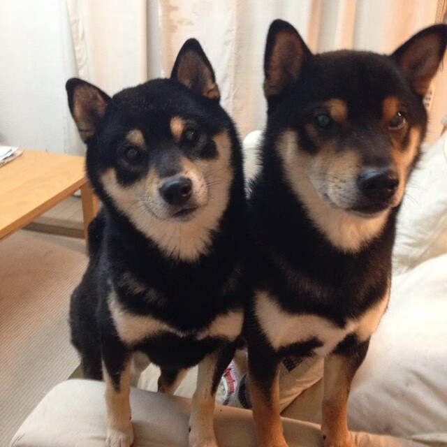 AYX官网-意大利选手团结一心，喜获胜利，意大利 团结