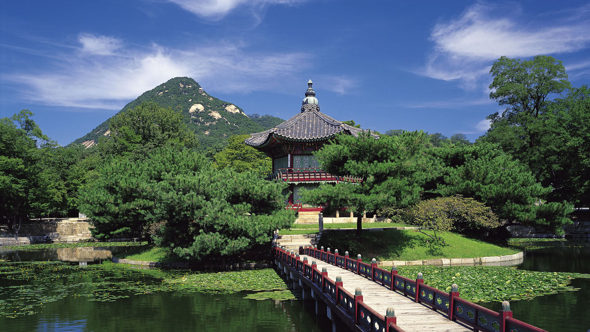 爱游戏app-独行侠控卫东斯基复出后场暴走+，独行侠东契奇打的什么位置