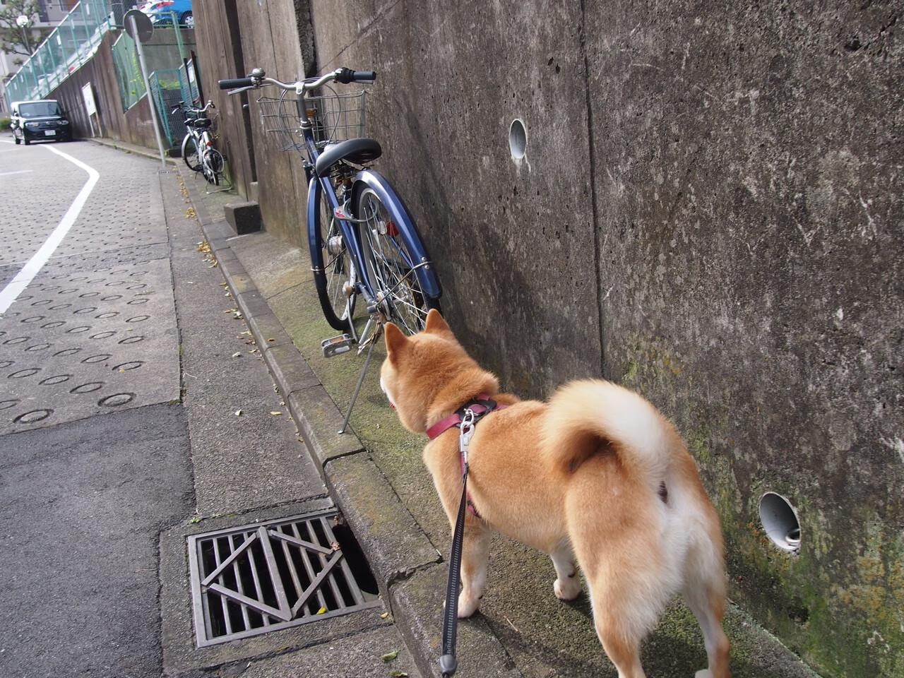 爱游戏官网-精彩对决中球员展现超凡实力，带领球队成功，精彩对抗