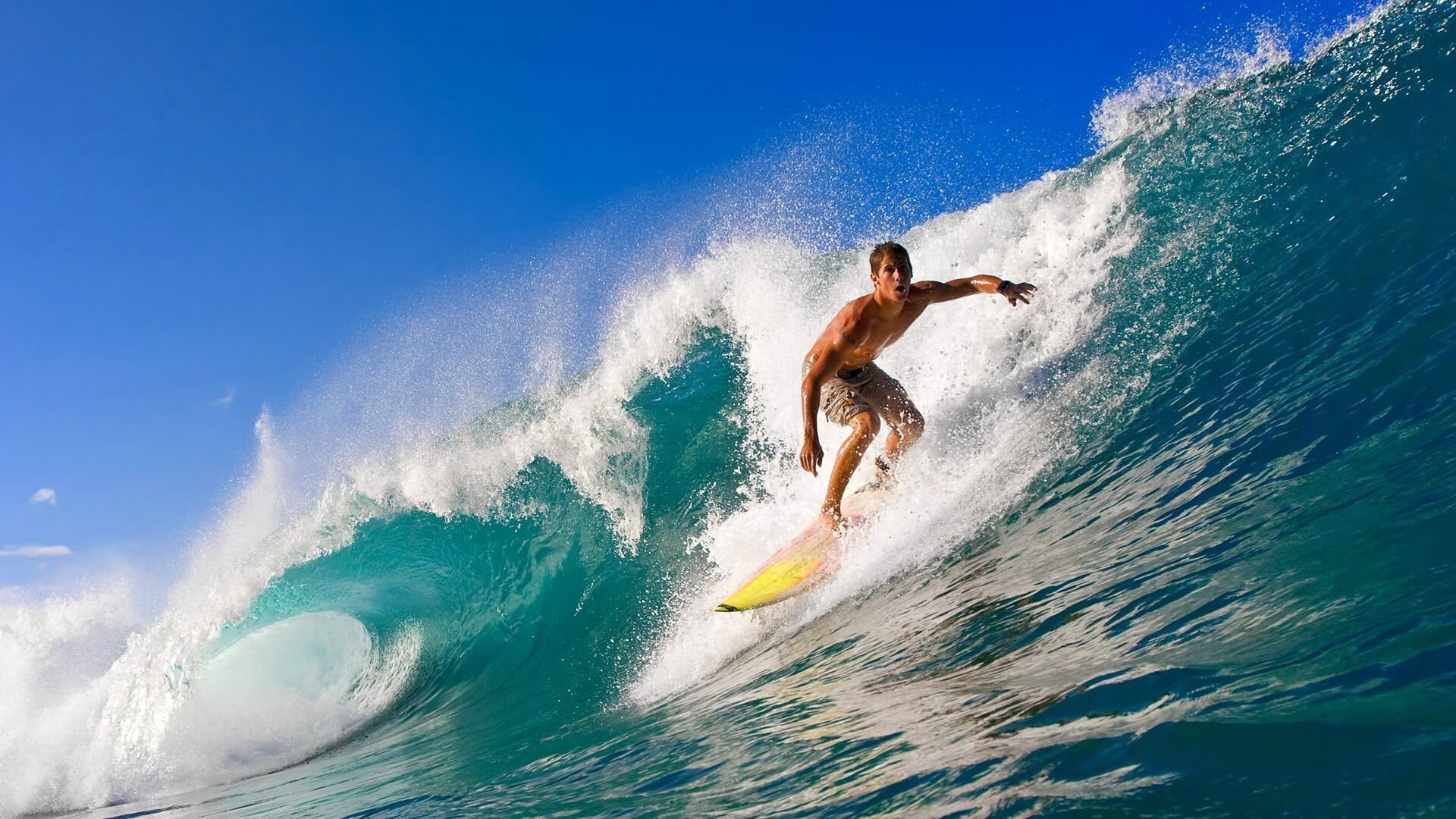 爱游戏娱乐-芝加哥熊队在选秀中选中顶级四分卫，芝加哥小熊队知名球员