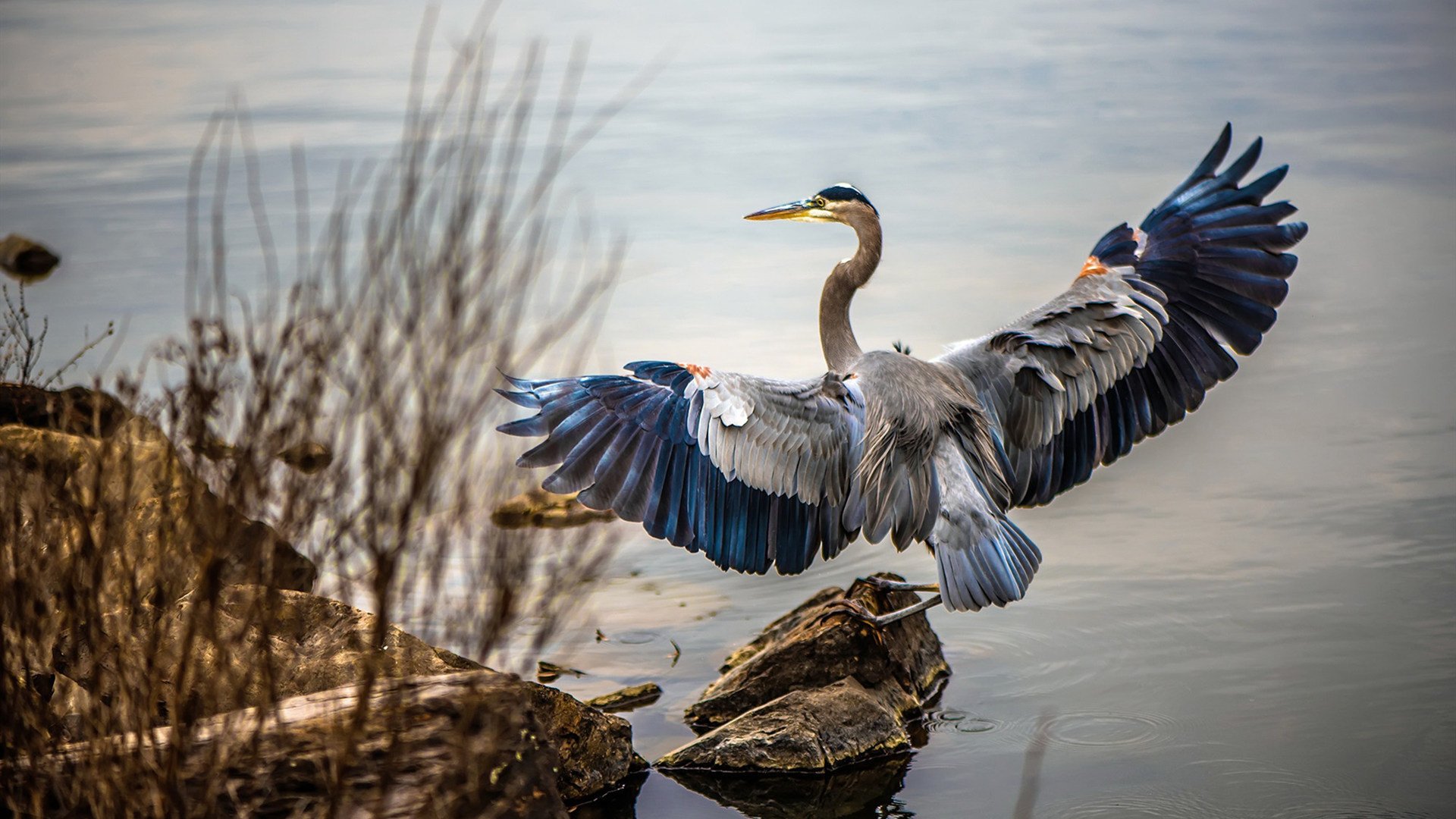 爱游戏体育APP下载-阿斯顿维拉主场告捷，欧战名额渐行渐近，阿斯顿维拉首发阵容