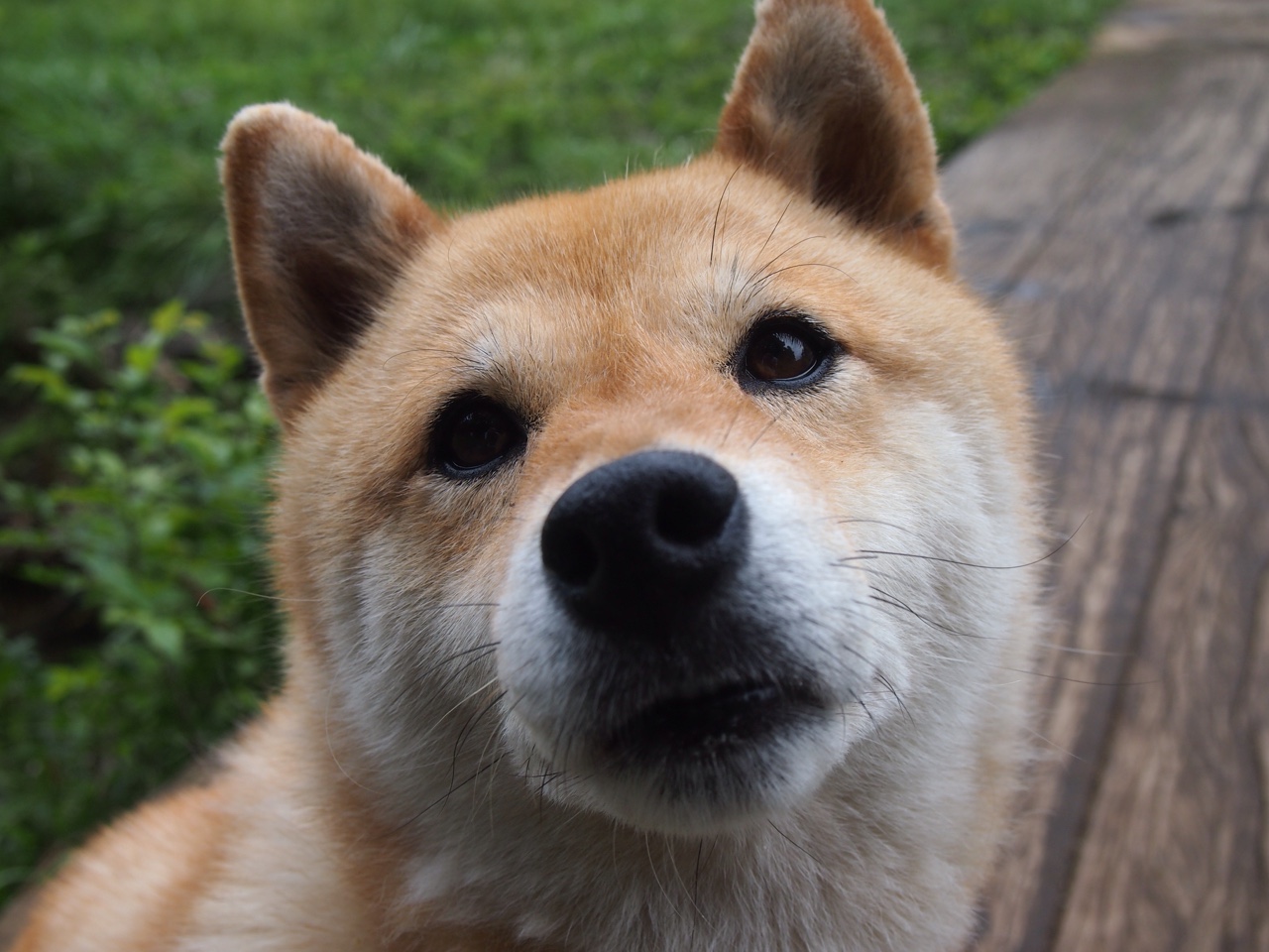 马德里竞技战术研究,为下一场比赛做准备,马德里竞技训练