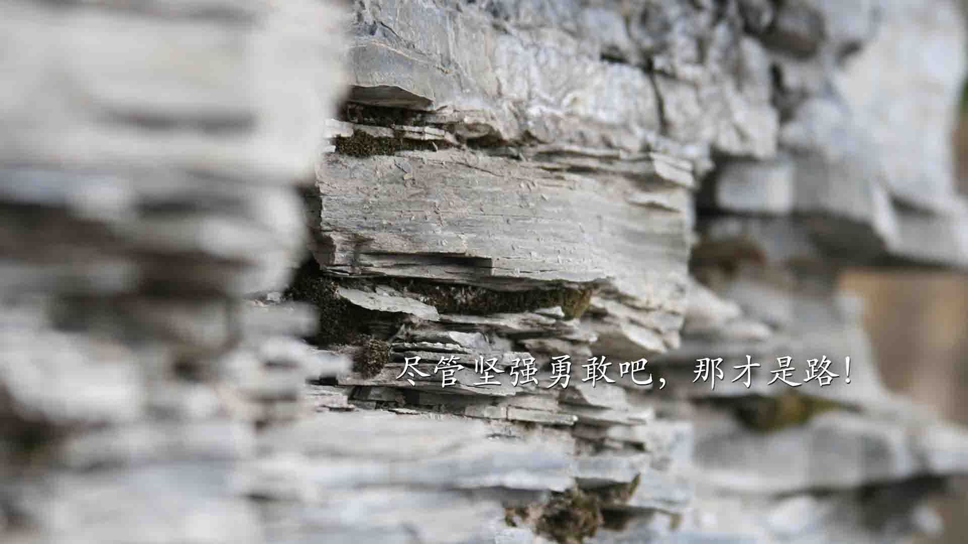 爱游戏在线娱乐官网-体测标准调整推动体育教育改革，教育部关于体测