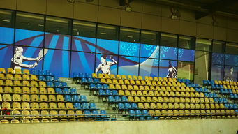 爱游戏登录入口-新加坡队未来计划：建立更完善的青少年乒乓培养体系，新加坡乒乓球运动