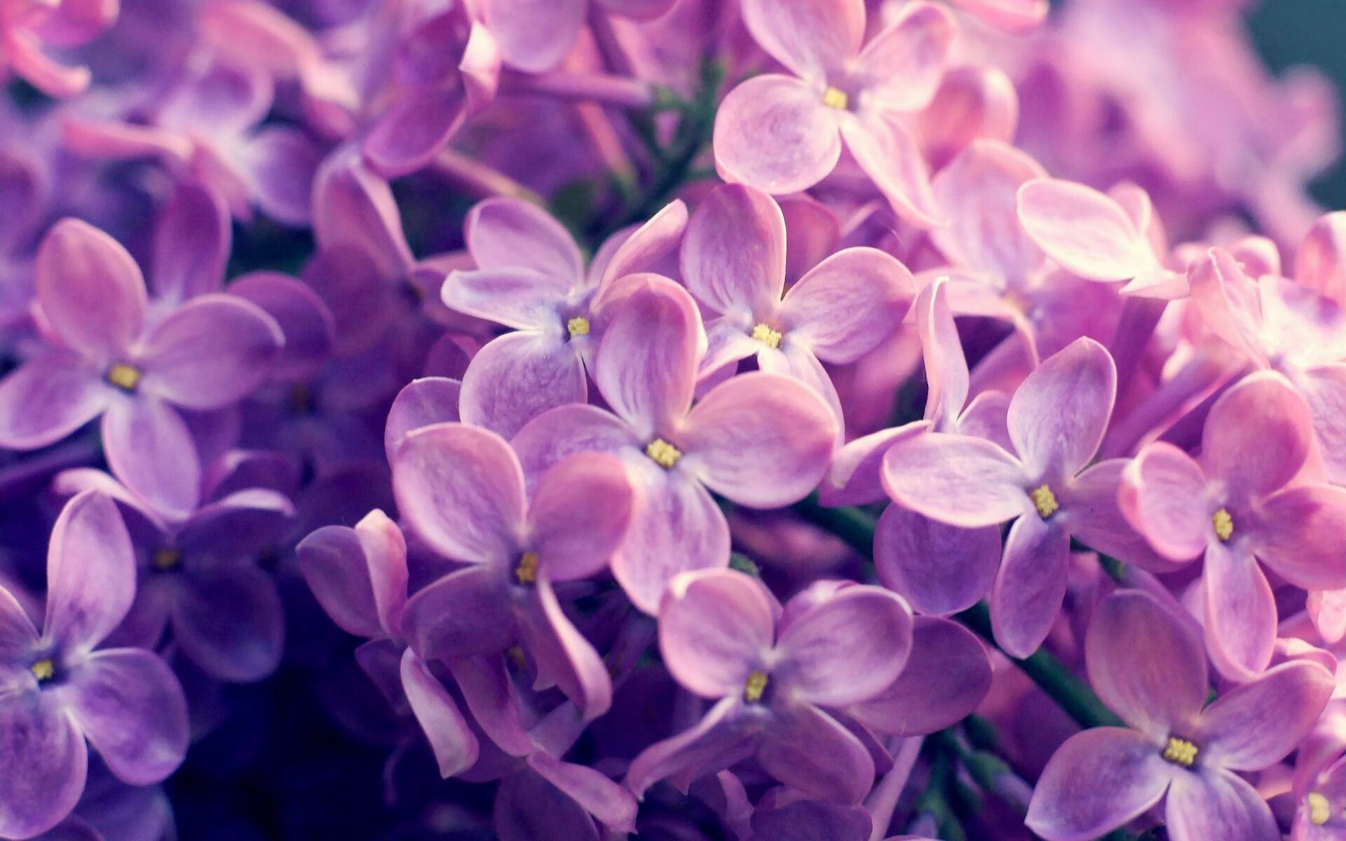 AYX体育-国际篮球交流活动在沪举办助力中国球员对话世界，国际篮球协会