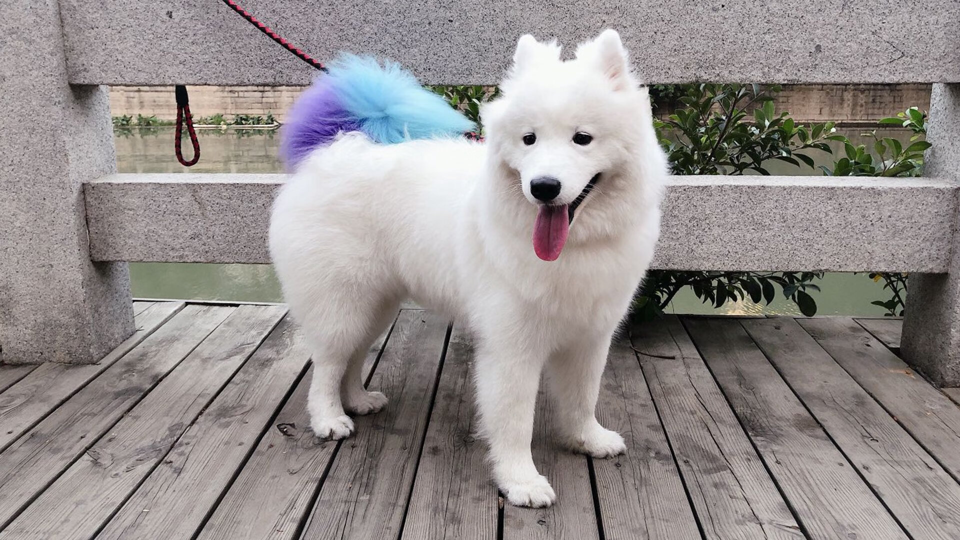 地方体育馆免费开放推动群众篮球健身活动常态化,体育馆篮球怎么收费