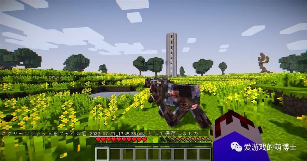 爱游戏入口:《Minecraft》社区合作建造项目，玩家共同打造梦幻世界的简单介绍